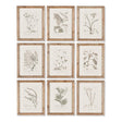 Napa Includes frames BOTANICAL ILLUSTRATIONS, SET OF 9