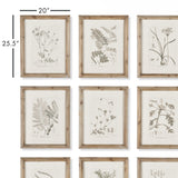 Napa Includes frames BOTANICAL ILLUSTRATIONS, SET OF 9
