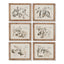 Napa Includes frames FRUIT BEARING BRANCH ILLUSTRATIONS, SET OF 6