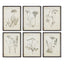 Napa  WILDFLOWER STUDY, SET OF 6