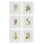 Napa  FLOWER STUDY PRINTS, SET OF 6