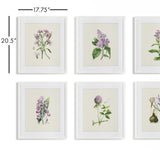 Napa  FLOWER STUDY PRINTS, SET OF 6