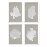Napa  CORAL FANS STUDY, SET OF 4