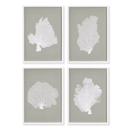 Napa  CORAL FANS STUDY, SET OF 4