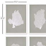 Napa  CORAL FANS STUDY, SET OF 4