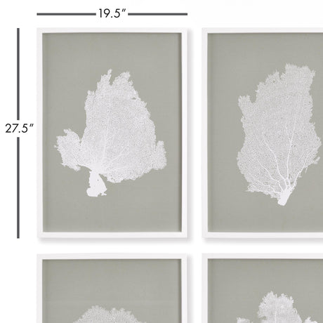 Napa  CORAL FANS STUDY, SET OF 4