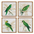 Napa  GREEN PARROTS STUDY, SET OF 4