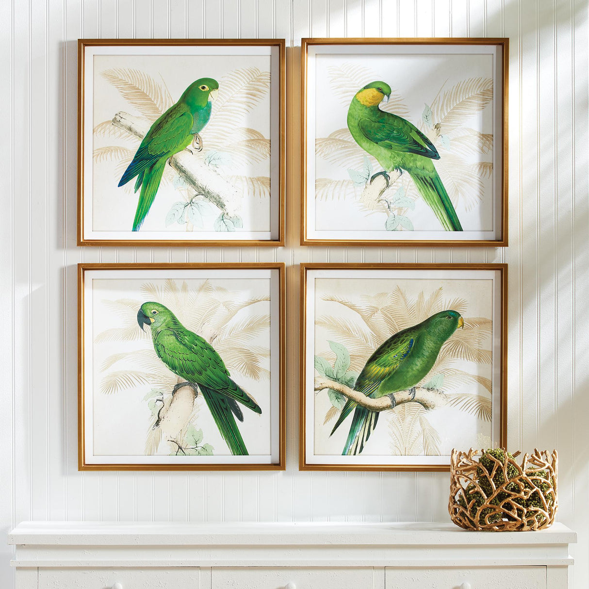 Napa  GREEN PARROTS STUDY, SET OF 4