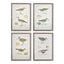 Napa  COASTAL BIRDS STUDY, SET OF 4