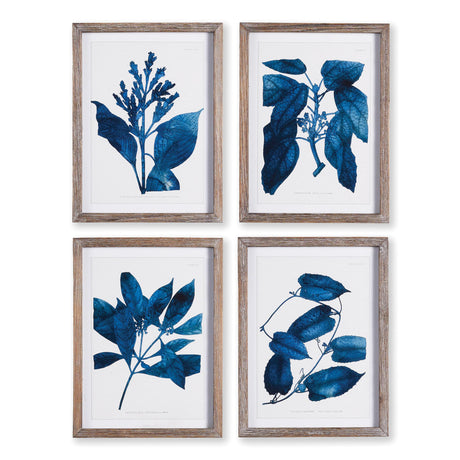 Napa  INDIGO BOTANICALS, SET OF 4