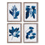 Napa  INDIGO BOTANICALS, SET OF 4