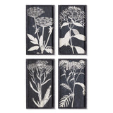 Napa  MONOCHROME QUEEN ANNE'S LACE PRINTS, SET OF 4