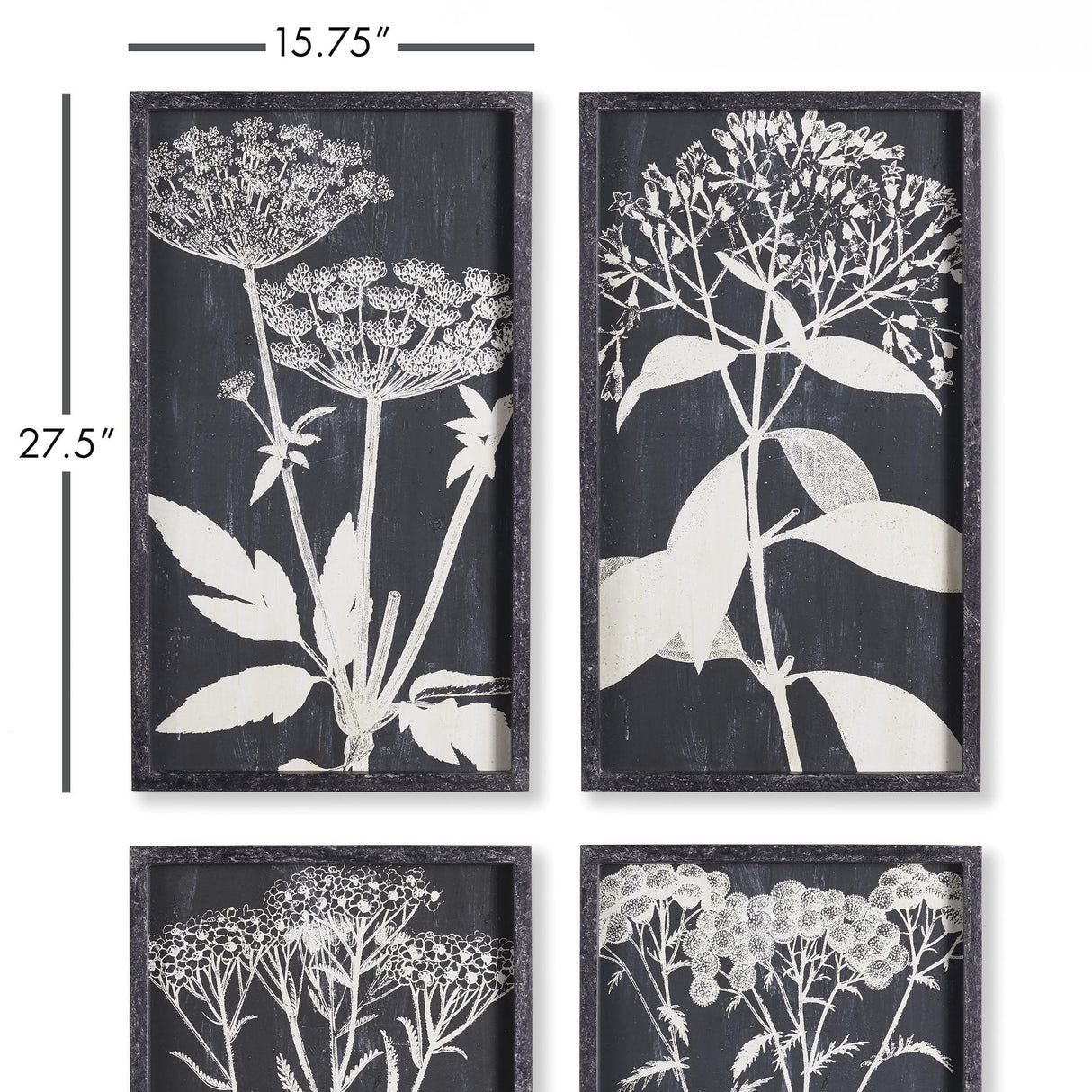 Napa  MONOCHROME QUEEN ANNE'S LACE PRINTS, SET OF 4