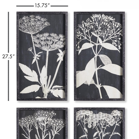 Napa  MONOCHROME QUEEN ANNE'S LACE PRINTS, SET OF 4