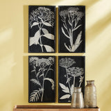 Napa #NAME? MONOCHROME QUEEN ANNE'S LACE PRINTS, SET OF 4