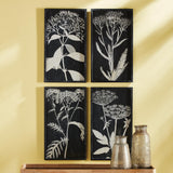 Napa  MONOCHROME QUEEN ANNE'S LACE PRINTS, SET OF 4