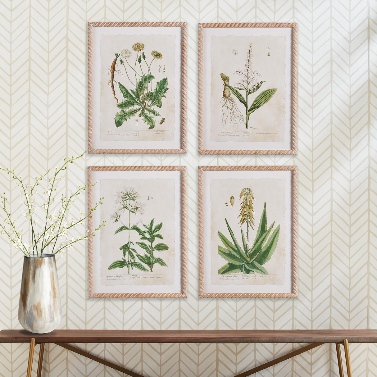Napa  VINTAGE BOTANICAL STUDY, SET OF 4