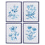 Napa  INDIGO WATERCOLOR BOTANICAL PRINTS, SET OF 4