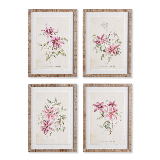 Napa  PINK CLEMATIS PRINTS, SET OF 4