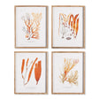 Napa  CORAL REEF STUDY, SET OF 4