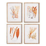 Napa  CORAL REEF STUDY, SET OF 4
