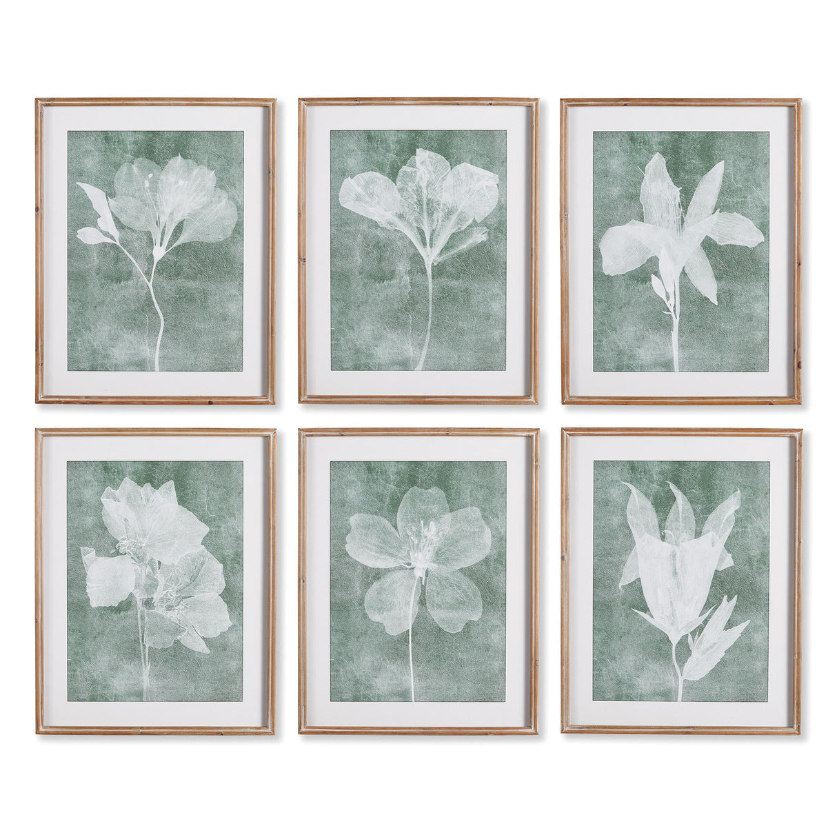 Napa  TRANSLUCENT FLORAL PRINTS, SET OF 6