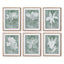 Napa  TRANSLUCENT FLORAL PRINTS, SET OF 6