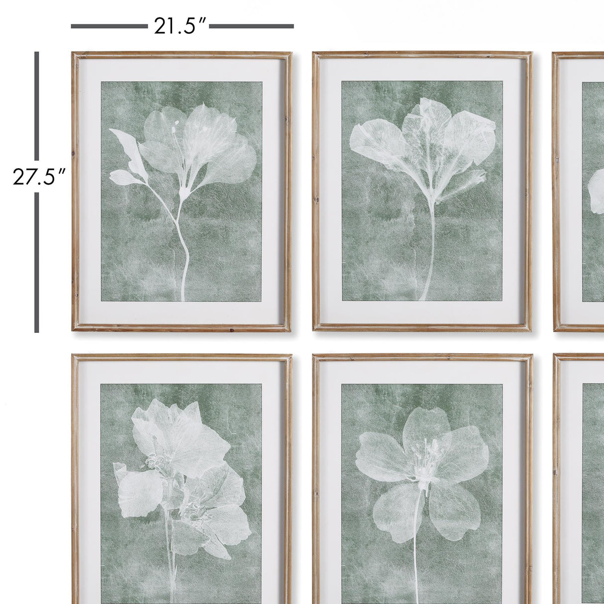Napa #NAME? TRANSLUCENT FLORAL PRINTS, SET OF 6