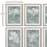 Napa #NAME? TRANSLUCENT FLORAL PRINTS, SET OF 6