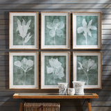 Napa #NAME? TRANSLUCENT FLORAL PRINTS, SET OF 6