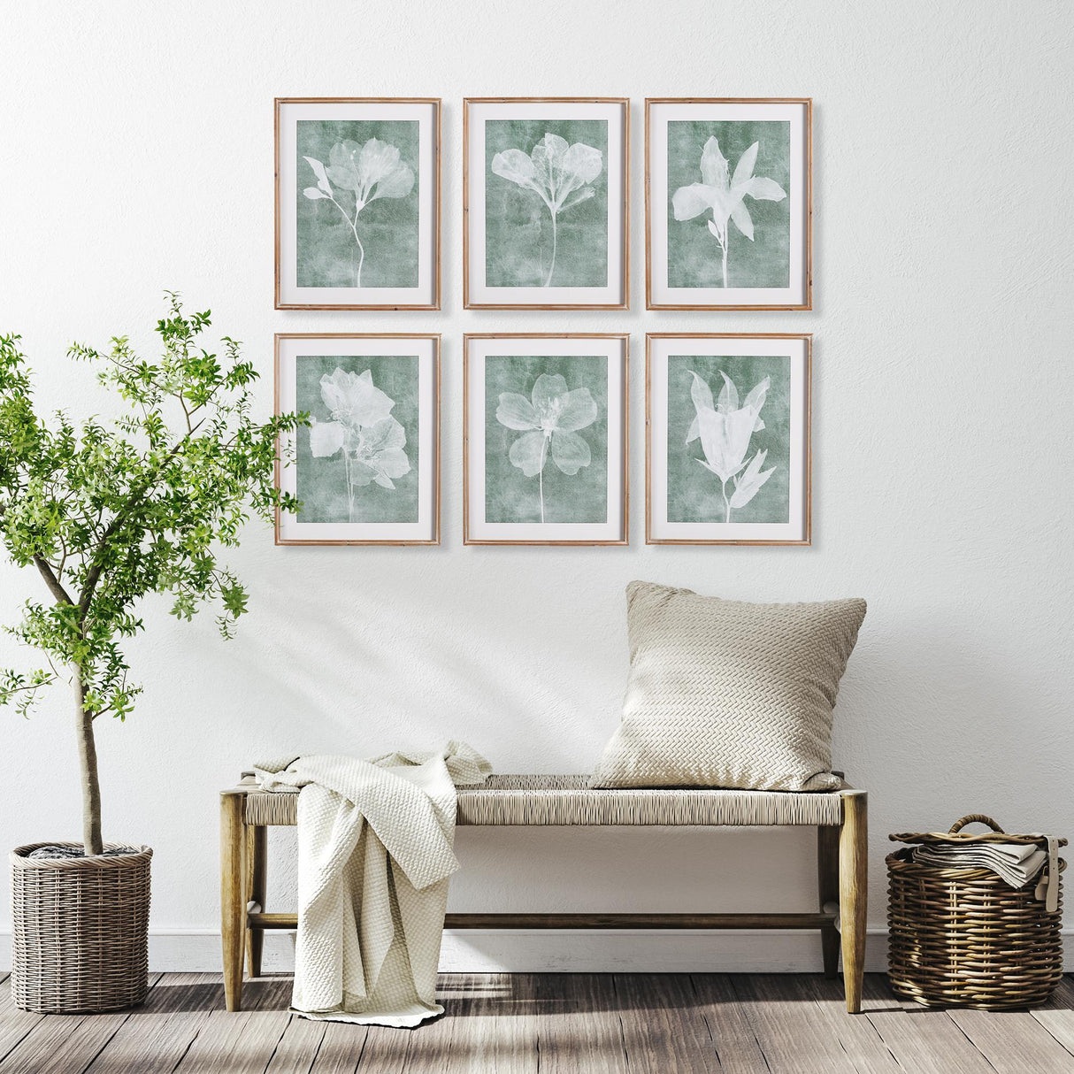 Napa #NAME? TRANSLUCENT FLORAL PRINTS, SET OF 6