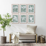 Napa #NAME? TRANSLUCENT FLORAL PRINTS, SET OF 6