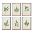 Napa  FOREST GREENERY PRINTS, SET OF 6