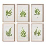 Napa  FOREST GREENERY PRINTS, SET OF 6