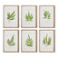 Napa  FOREST GREENERY PRINTS, SET OF 6