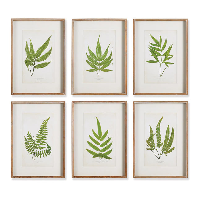Napa  FOREST GREENERY PRINTS, SET OF 6