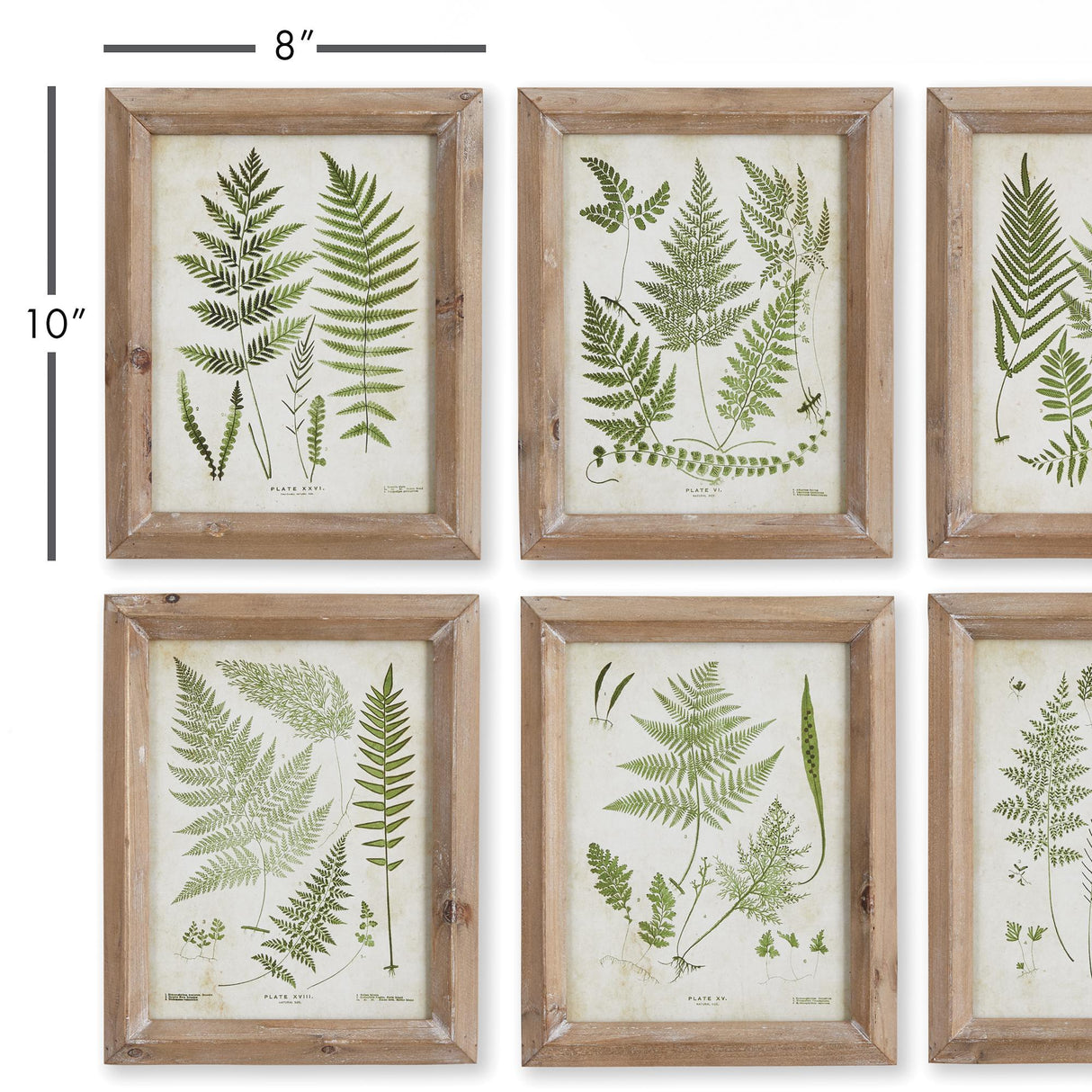 Napa #NAME? FOREST GREENERY PRINTS, SET OF 6