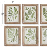 Napa #NAME? FOREST GREENERY PRINTS, SET OF 6
