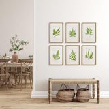 Napa #NAME? FOREST GREENERY PRINTS, SET OF 6
