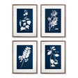 Napa  CYANO BOTANICAL LEAF STUDY, SET OF 4