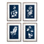 Napa  CYANO BOTANICAL LEAF STUDY, SET OF 4