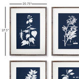 Napa  CYANO BOTANICAL LEAF STUDY, SET OF 4