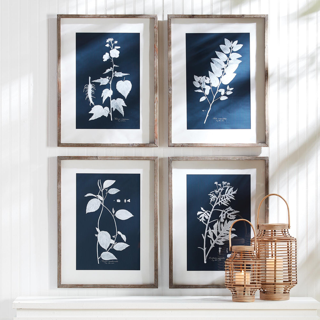 Napa  CYANO BOTANICAL LEAF STUDY, SET OF 4