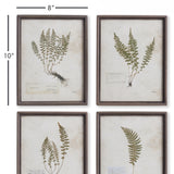 Napa Metal Frames PETITE FROND PRINTS, SET OF 4