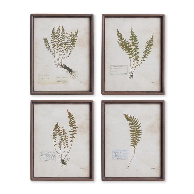 Napa Metal Frames PETITE FROND PRINTS, SET OF 4