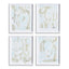 Napa  BACCHUS PRINTS, SET OF 4