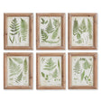 Napa  ASSORTED FROND STUDY PETITE, SET OF 6