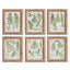 Napa  ASSORTED FROND STUDY PETITE, SET OF 6