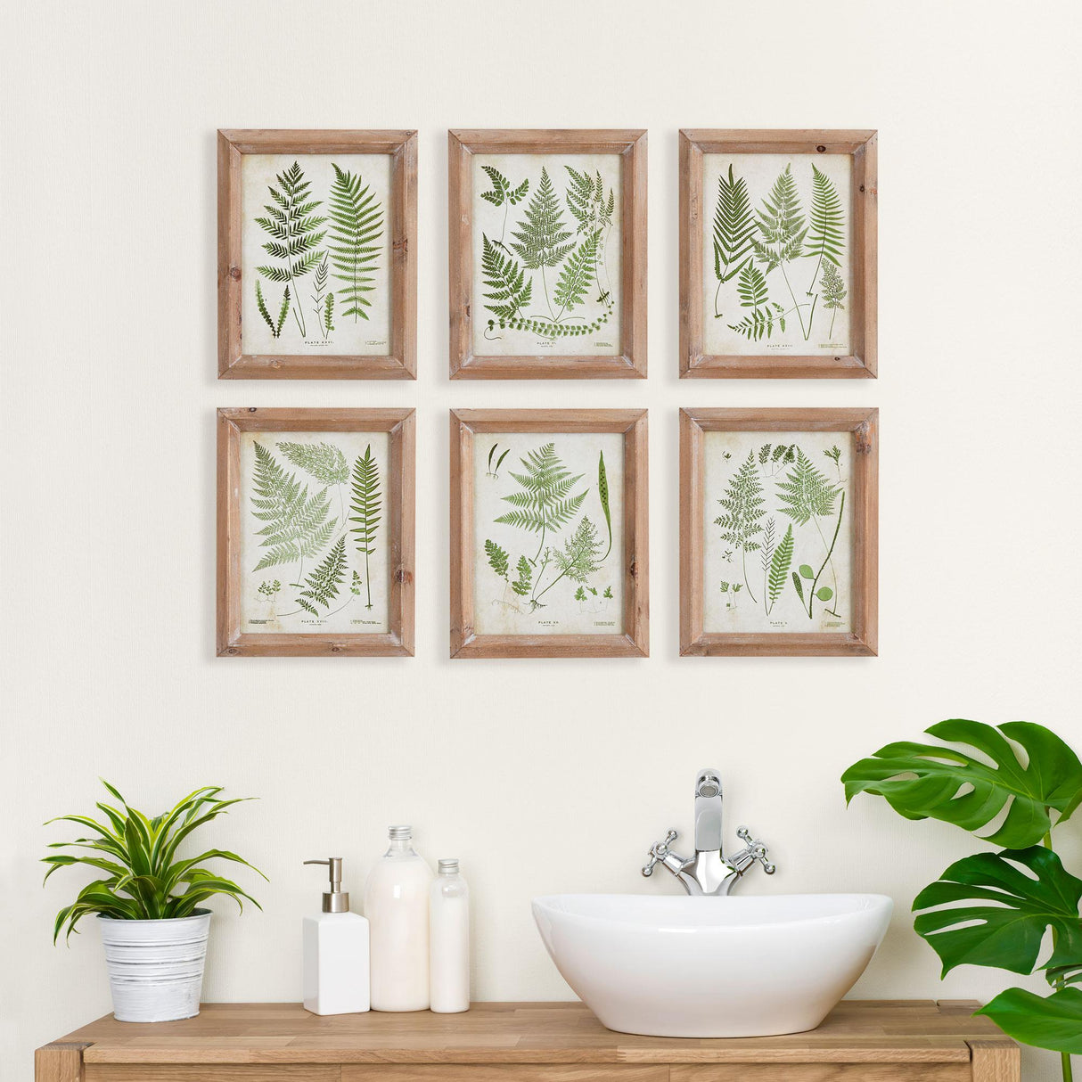 Napa  ASSORTED FROND STUDY PETITE, SET OF 6