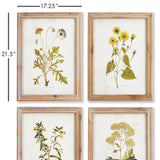 Napa  GOLDEN WILDFLOWER STUDY, SET OF 4
